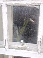 edencottages - 5163.jpg